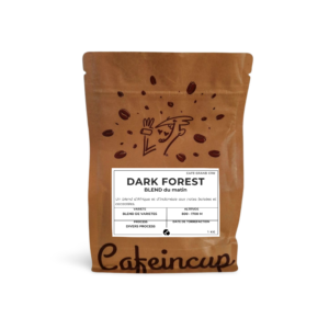 dark forest